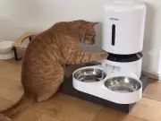 猫が自動給餌器を5秒長押しでロック解除し妹にご飯を譲る姿が話題