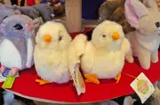 ひよこが王様に？老舗・吉徳のぬいぐるみが愛される秘密
