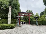 EVシフト加速？中国製EVの日本市場浸透が鮮明に
