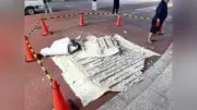 愛知こどもの国で橋から約1.1トンのコンクリート片落下、ゴーカートなど営業中止