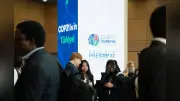 COP31の焦点、電化率目標35%に浮上 再生エネ拡大と同時達成がカギ