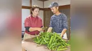 苦い経験乗り越え夫婦で奮闘、万願寺甘とう生産者・田中さん夫妻の挑戦