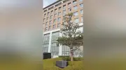 障害者支援施設の看護師3人、解雇・配置転換は無効と判断 大阪地裁堺支部が運営法人に2000万円支払い命令