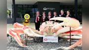 福井県にカニテーマパーク「かにファクトリー甲羅組」オープン、冷凍食品作り体験も