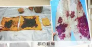 再審証拠の目的外使用禁止、過去の無罪事件にも適用へ 検証妨げる恐れ