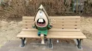 東洋経済の写真記事951859を詳細に解説