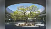 同志社香里中高、夏の合同説明会に参加－梅田・守口で7月開催