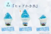ドラクエ「ヒャド」「ヒャダルコ」「マヒャド」かき氷が淡路島に登場、呪文の威力でサイズアップ