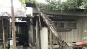 EV販売低迷で欧州自動車大手が戦略転換、中国勢の台頭が脅威に