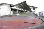 EV販売の失速で中国自動車市場に激震、日系メーカーは生き残れるか