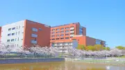 EVシフト加速でガソリン車の未来は？最新市場動向と業界の課題