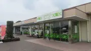 EVシフトの陰で加速するガソリン車部品サプライヤーの淘汰