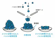 EV補助金打ち切りで日本市場に暗雲、テスラと中国勢が追い風に