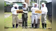 桜の名所・権現堂公園で初の養蜂採蜜、ハチミツを特産品に