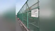 ハトやカラスへの悪質な餌やり、全国初の摘発 大阪市と静岡市が先陣、他自治体のモデルケースに