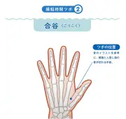 2025年大阪・関西万博に初の「空中ディスプレイ」、ソフトバンクとNTTが実証
