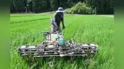 2050年までに有機農業面積25%目標、福井県内で越前市の大規模農家や小浜市の給食調達など官民の取り組み加速