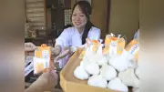つくばの一ノ矢八坂神社でニンニク祭り、無病息災を祈る