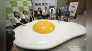 「一生で食べる卵2万8000個」模型、農水省に移設 大阪・関西万博から