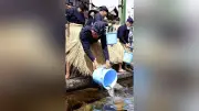 岐阜市で鮎供養、長良川のアユに感謝 鵜匠らが放流