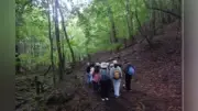 女子学院中1、河口湖で樹海散策とコケ観察のオリエンテーション合宿