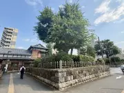 世界で進む5G普及の現状と今後の課題