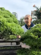 『変態植物倶楽部』Season2今夜スタート、ひょうろくが盆栽の聖地へ