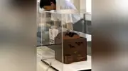 福山で古文書に記された動物の展示、マンボウやコウモリなど19点