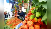 浅草寺でほおずき市開幕、4万6000日分の御利益 江戸時代からの夏の風物詩
