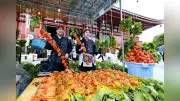 浅草寺で夏の風物詩「ほおずき市」開幕、約60軒の屋台が境内に並ぶ