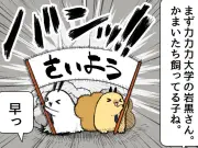 人事もツライよ：就活の迷路を描く人気漫画が共感呼ぶ