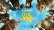 ヒュー・ジャックマン主演『ひつじ探偵団』がPrime Video世界1位、『オフキャンパス』5週連続首位