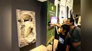 イニエスタ命名の恐竜足跡化石レプリカが福井で人気、特別展とW杯が重なり注目