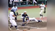 夏の高校野球岩手県大会8強出そろう 盛岡誠桜が連続進出、一関一は7年ぶり