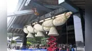 出雲大社神楽殿の大しめ縄、8年ぶり架け替え 長さ13.6メートル