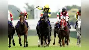 最優秀マイラー・ジャンタルマンタルが抹消、社台SSで種牡馬に
