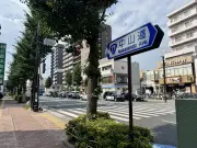 日本のEV販売台数、2024年に過去最高 充電インフラ整備が追い風に