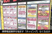 総務省会議、携帯「ホッピング」防止へポイント分割提供案を採用、1年以内の規制緩和へ
