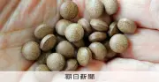 サプリ健康被害報告とGMP義務化へ 紅麹問題受け規制案
