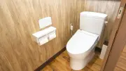 日本が世界に誇るトイレの進化史：ウォシュレットは米国発、日本が最高品質に