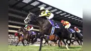 日本馬マスカレードボールとヴェルテンベルク、英キングジョージ6世&クイーンエリザベスS参戦へ