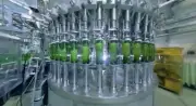 国産マッチ「バズりたい」動画が3000万再生、職人芸と工場見学の心理が生んだ必然