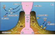 深海熱水噴出孔の微生物、電気でCO2から有機物合成を実証