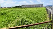 かすみがうら市長選告示前に市有地活用問題浮上、購入から4年未定