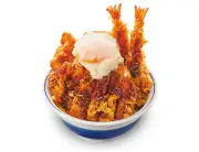 かつや新グランドメニュー「ライト」「ヘビー」「豚焼肉」7月27日発売