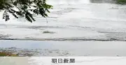 宮沢賢治が愛した「イギリス海岸」が川底から出現、少雨で水位低下