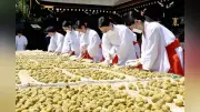 北野天満宮で大福梅の土用干し開始、甘酸っぱい香り境内に
