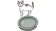 古墳時代の猫の足跡が重要文化財に！癒やしの肉球が語る歴史