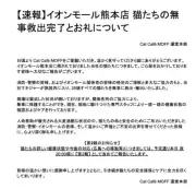 【令和8年熊本地震】イオンモール熊本の猫カフェMOFF、25頭すべて救出
