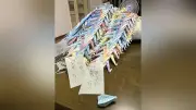 京アニ放火事件7年、息子亡くした80代父の折り鶴2500羽超え「親の務め」